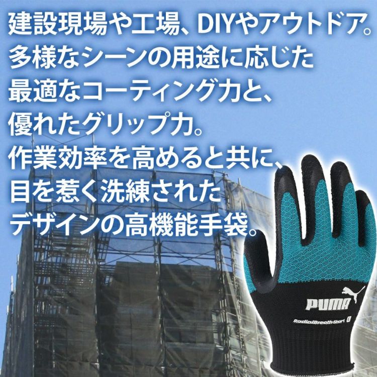 手袋専用ページ４ 000000004668-03-l.jpg?t=