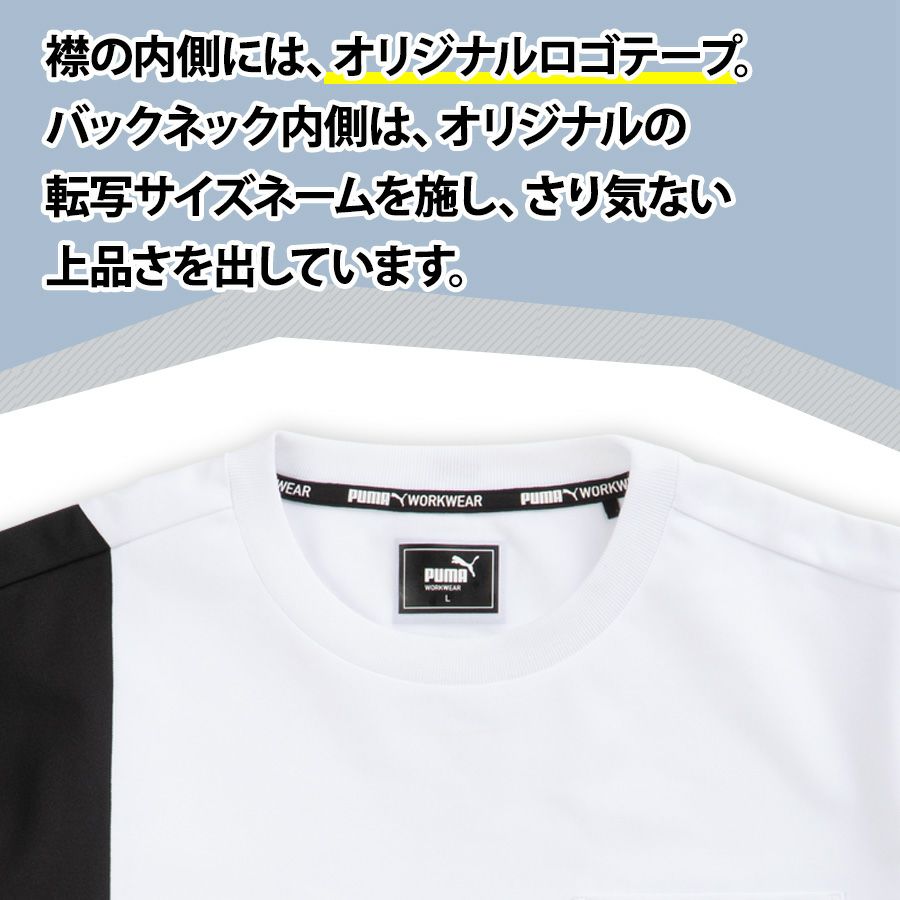 000000005312-06-l.jpg?t=